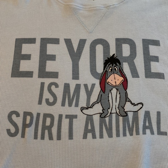Disney EEYORE Cropped Waffle Tee Long Sleeves Oversized Size Small Baby Blue - Picture 4 of 10